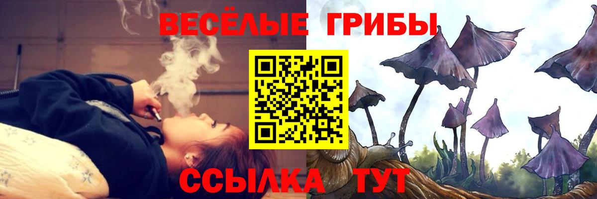 Дедовск  Псилоцибиновые грибы Cubensis  Вход с VPN 